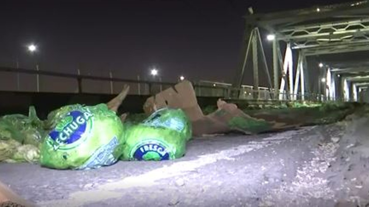 Puente Plateado de Torreón y Gómez Palacio invadido con lechugas.