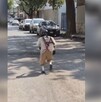 Imagen que capta el momento en que el humanoide vestido como el Chavo del 8 corre por la calle.