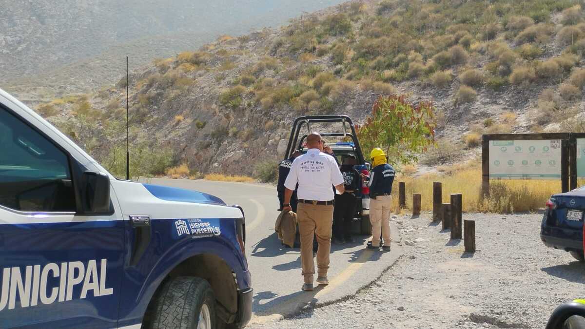 Cerro de las Noas de día con elementos de Protección Civil de fondo inspeccionando la zona en donde ocurrió un incendio provocado.