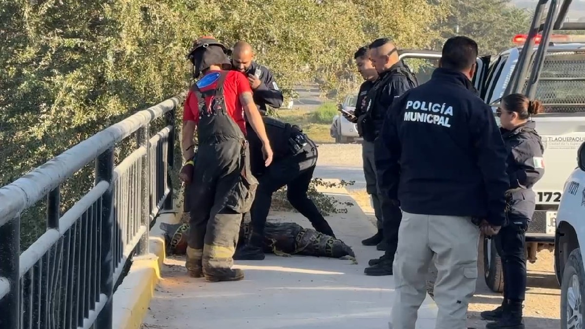 Patrulla y elementos de la Policía Municipal y Protección Civil de Tlaquepaque junto a un barandal de protección en el canal y el adorno de Halloween embolsado