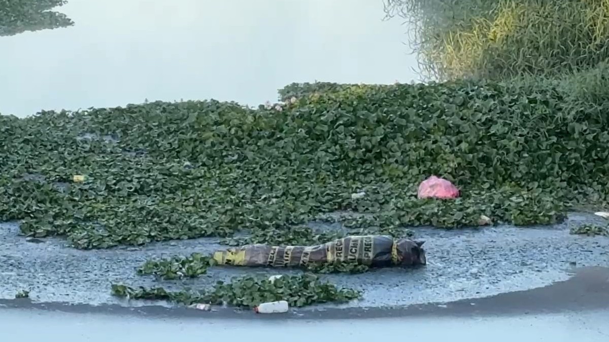Bolsa de plástico negra rellena de cartón envuelta con cinta de acordonamiento al interior de un canal en Tlaquepaque con vegetación y agua alrededor