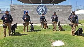 oficiales de policía y perros que forman la unidad canina k9 de la SSC puebla