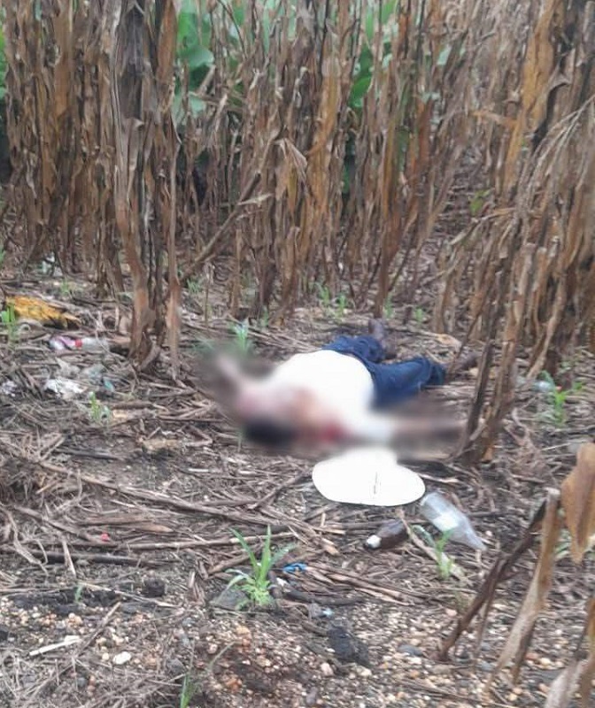 Cuerpo de un hombre sin vida sobre un terreno de sembradíos.