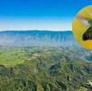 Vista aérea de una de las colinas en la reserva de Manantlán con cielo azul de fondo y áreas cubiertas de naturaleza. Imagen de un colibrí a un lado