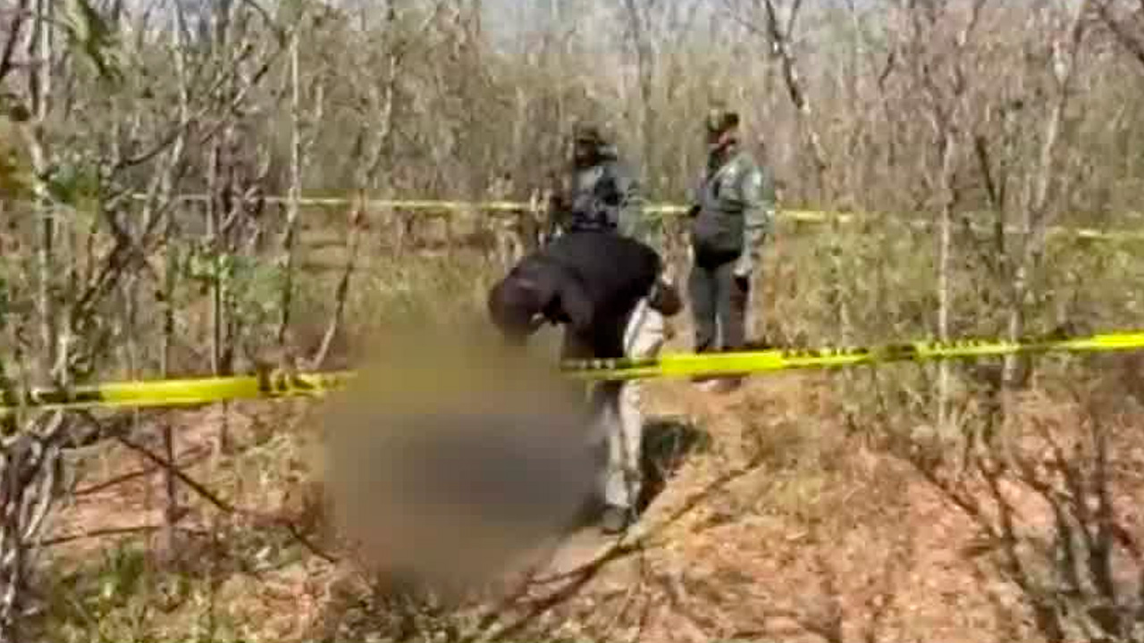 Integrantes de un colectivo de búsqueda localizaron restos humanos dentro de una jaula y en una fosa clandestina al poniente de Culiacán.