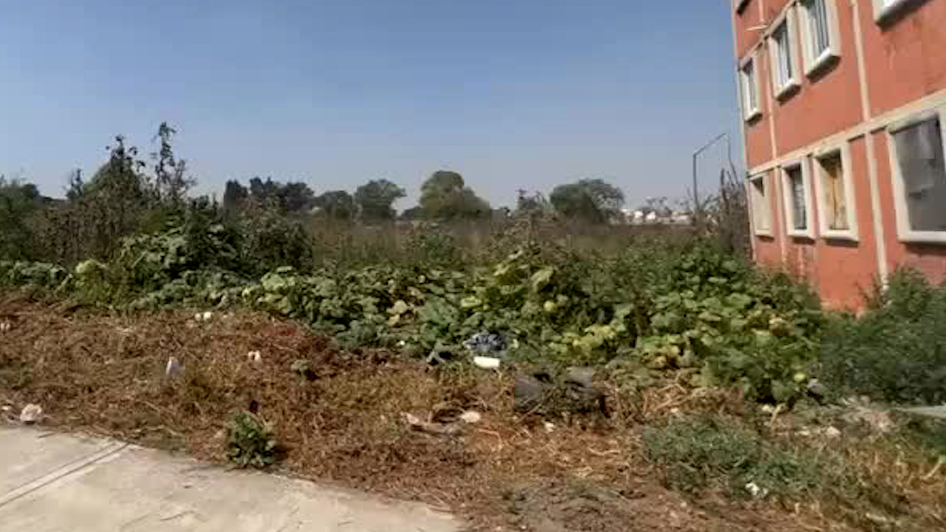 Autoridades alertan que los estafadores ofrecen los predios a través de páginas de internet fuera de la ley.