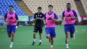 Tigres durante la sesión de entrenamiento.