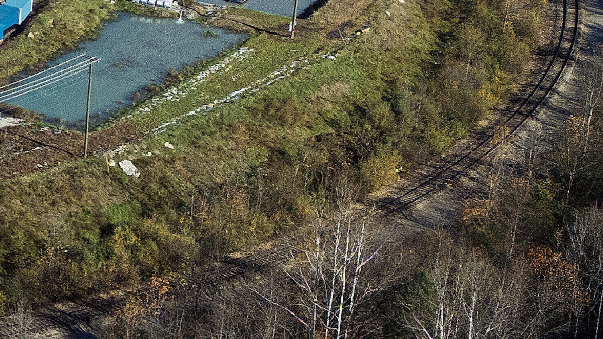 Vías del tren rodeada de árboles y área verde