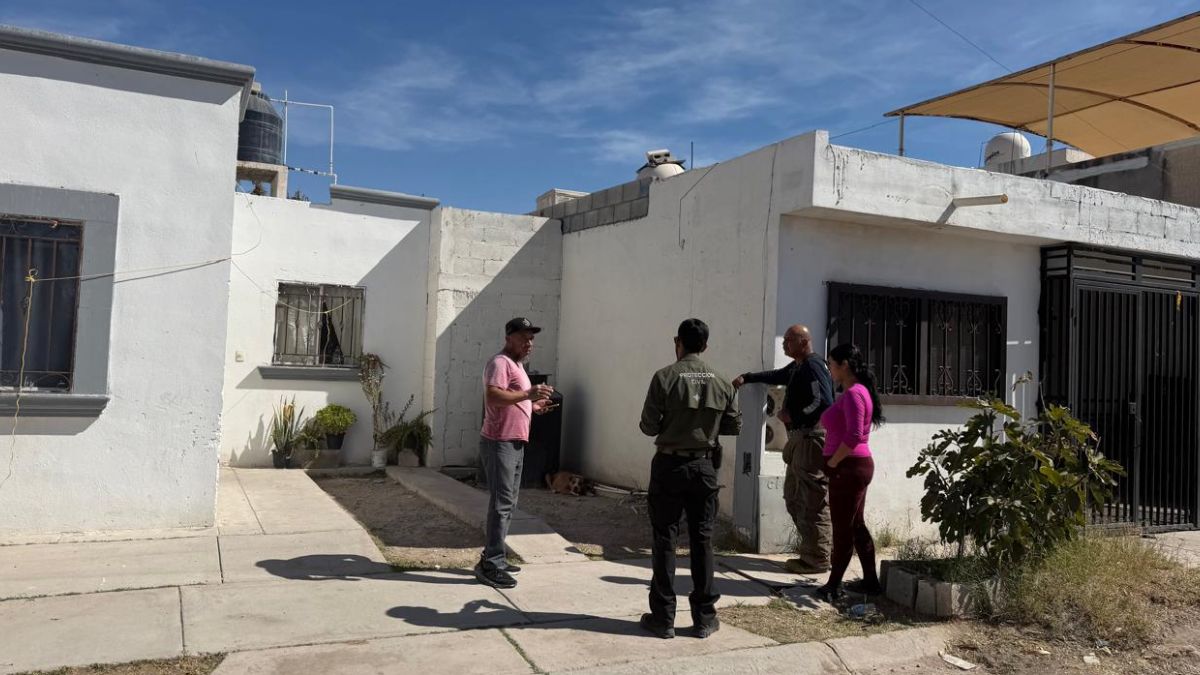 Imágenes de un perro que atacó a otro, además de una imagen con blur de un perro afectado por las mordeduras.