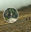 Alpinistas narran que fueron perseguidos por hombres armados y con caballos en el Iztaccíhuatl.