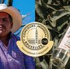 Melesio Meza Correa, maestro mezcalero productor del 