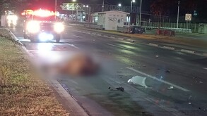 Un caballo suelto fue atropellado y causó un accidente múltiple en Periférico de Guadalajara.
