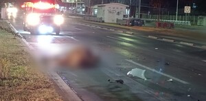 Un caballo suelto fue atropellado y causó un accidente múltiple en Periférico de Guadalajara.