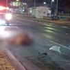 Un caballo suelto fue atropellado y causó un accidente múltiple en Periférico de Guadalajara.