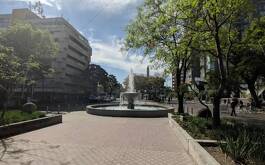 camellón en chapultepec