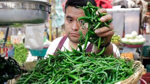 Hombre colocando chiles picantes en una báscula de peso.