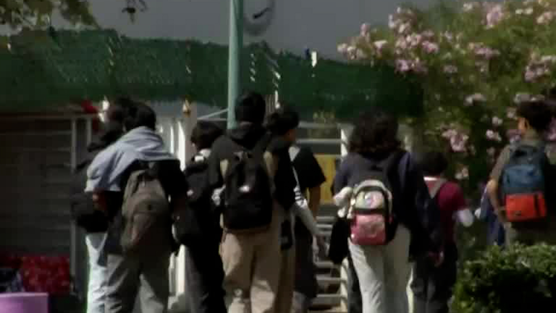 Vecinos hacen un llamado a las autoridades del municipio para que realicen labores de vigilancia en la zona.