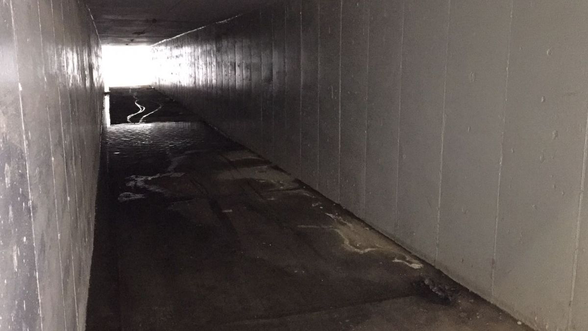 Imagen de un camino debajo del Nudo Mixteco de Torreón, abandonado y deteriorado.