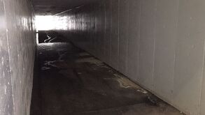 Imagen de un camino debajo del Nudo Mixteco de Torreón, abandonado y deteriorado.