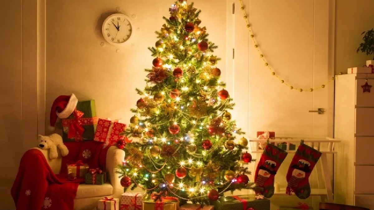 Decoración navideña, elementos que comúnmente es causa de incendios en viviendas.