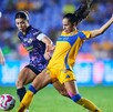 Partido entre Tigres Femenil y América desde el volcán universitario.