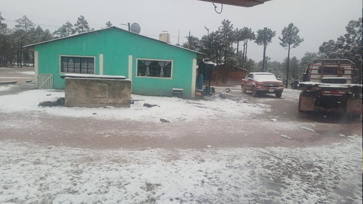 Foto de la primera nevada en Durango del 2025 en una casa color verde menta.