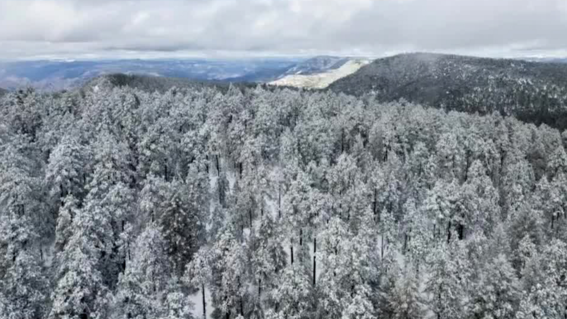 Los pronósticos del SMN respaldan la preocupación institucional, ya que se anticipa la llegada de hasta 48 frentes fríos a lo largo de la temporada.