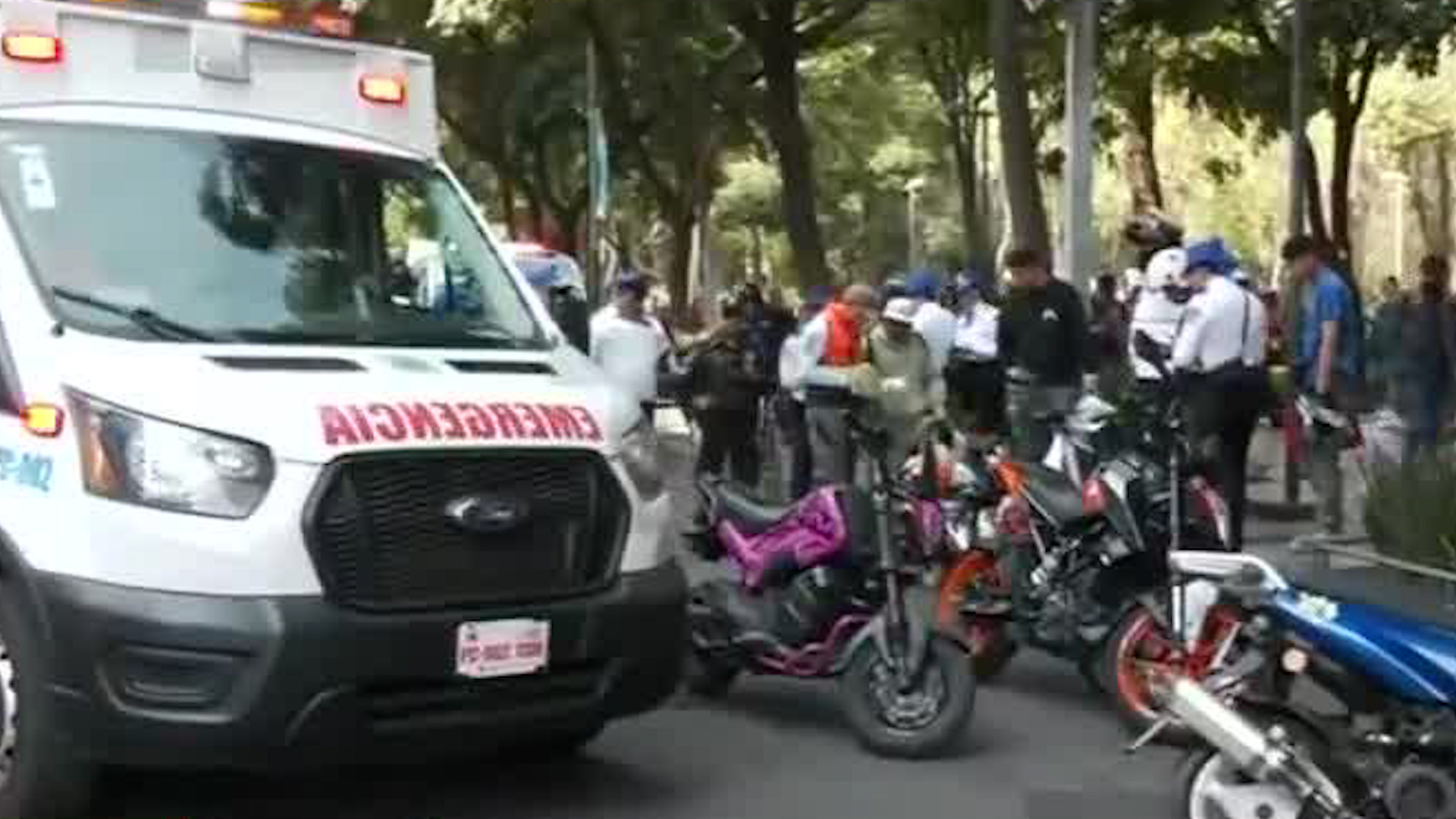 Los hechos ocurrieron cuando la mujer intentaba cruzar la avenida Juárez y el conductor no pudo detenerse a tiempo.