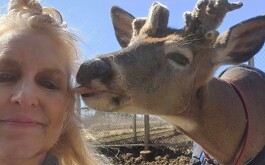 Mujer aparece con ciervo