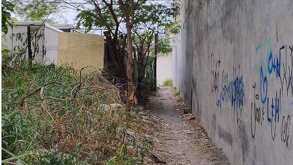 En las imágenes se observa al sujeto, según testigos, de unos 18 o 20 años