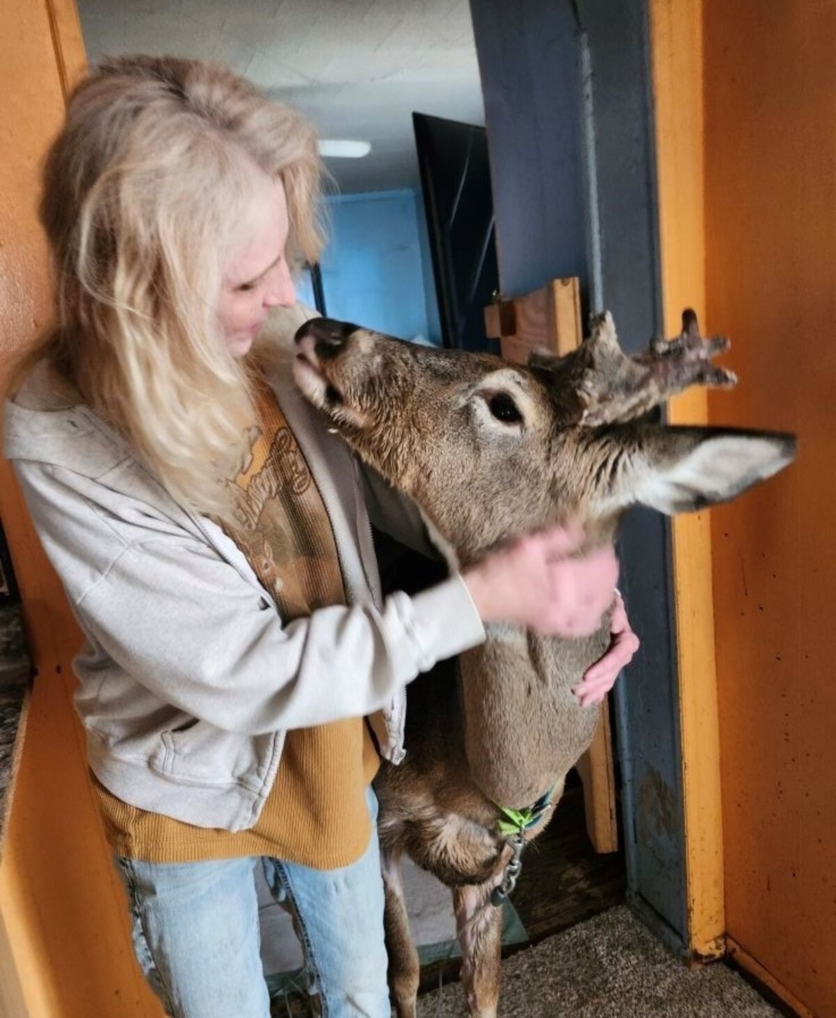 Jodi Proger con un ciervo