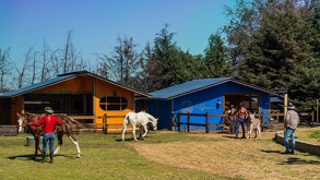 Además del trabajo pesado, los peones elegidos cada semana en la Granja VIP se enfrentan a restricciones que complican su día a día.