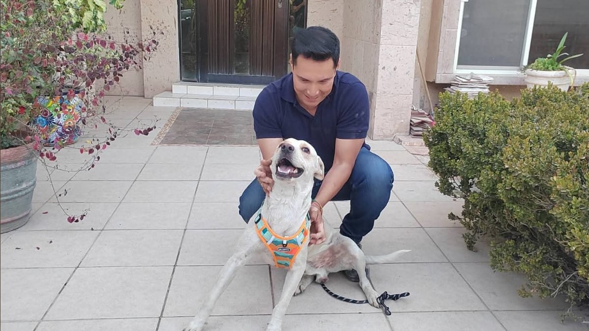 Perrito sentado con su dueño.