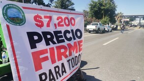 Nuevamente los trabajadores del campo deciden bloquear las carreteras de Michoacán este 24 de noviembre.