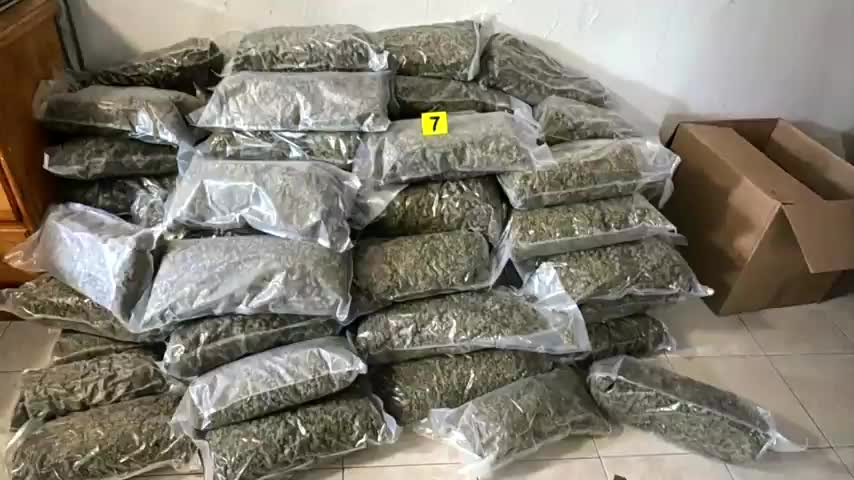 Tras el robo de un celular, autoridades catearon un domicilio en el Centro de Monterrey y aseguraron 90 kilos de mariguana.