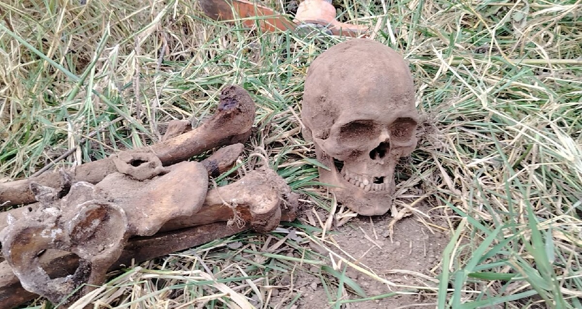 Cráneo con dentadura junto a múltiples restos de la osamenta de un hombre sobre pasto y tierra de un terreno de Tlajomulco
