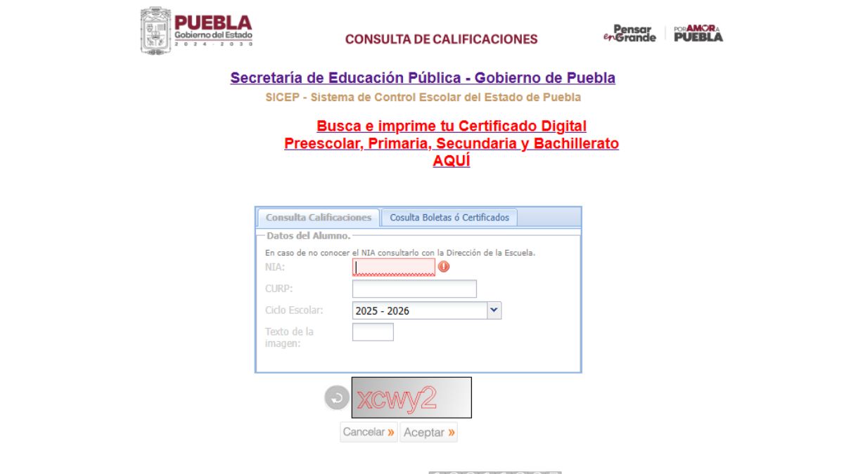Conoce cómo funciona la página para descargar la boleta SEP en cualquier momento del año.