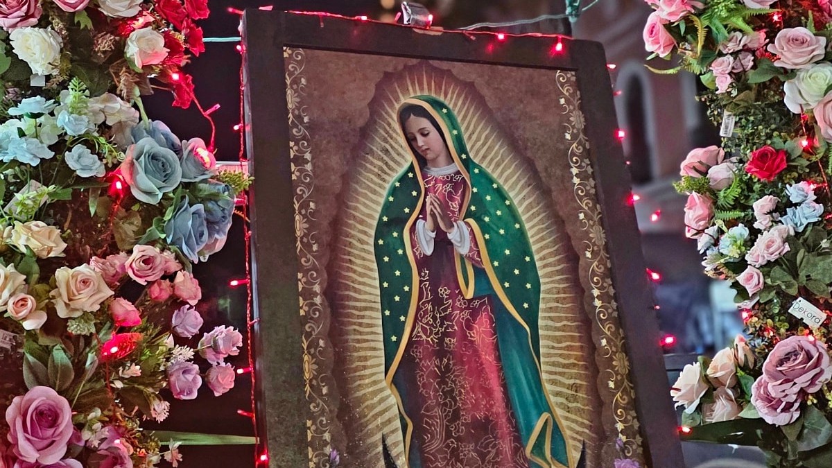 Virgen de Guadalupe en cuadro rodeada de flores de diferentes colores