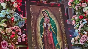 Virgen de Guadalupe en cuadro rodeada de flores de diferentes colores