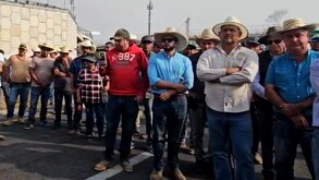 Grupo de hombres reunidos en una carretera de Jalisco.