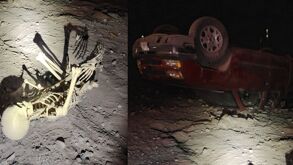 El esqueleto y la camioneta tras el percance