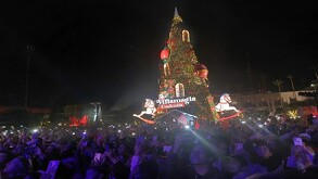 Imagen del encendido del pino navideño de Plaza Mayor 2024.
