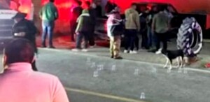 Terreno con pruebas de balas percutidas.