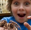 Niños y adultos pueden divertirse  y aprender con los asombrosos bichos que se encuentran en este museo.