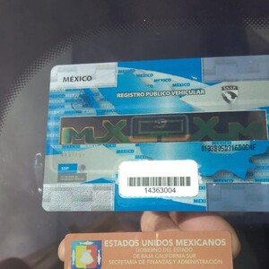 Calcamonía del Repuve