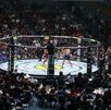 Se llevó a cabo el evento de MMA México en la Arena Mobil de Monterrey en donde se coronó un nuevo Rey de Monterrey.