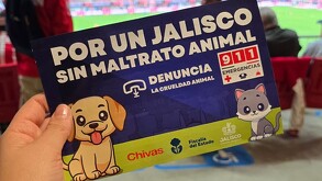 Chivas y la Fiscalía de Jalisco unen fuerzas para difundir una campaña contra el maltrato animal.
