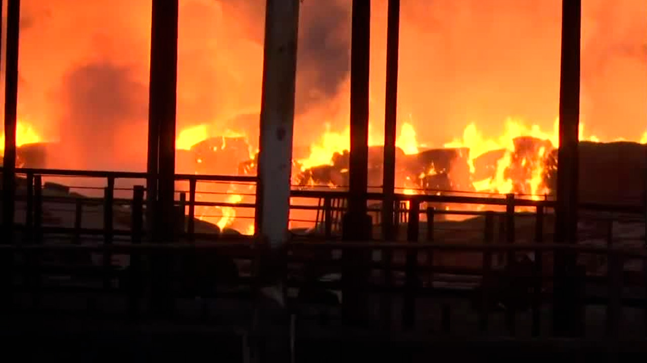 El siniestro se registra en un establo ganadero ubicado en el sector conocido como Moneygro, colindante con las comunidades Filipinas, Flor de Mayo y La Barca.