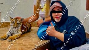 Javier Alexander Cabello, hijo del Barrabas, presumiendo foto con un tigre