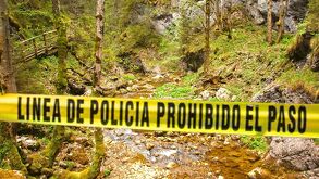 Imagen ilustrativa del lugar donde fue hallado el cuerpo de Araceli, mujer resportada como desaparecida en Veracruz.